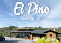 ElPino1